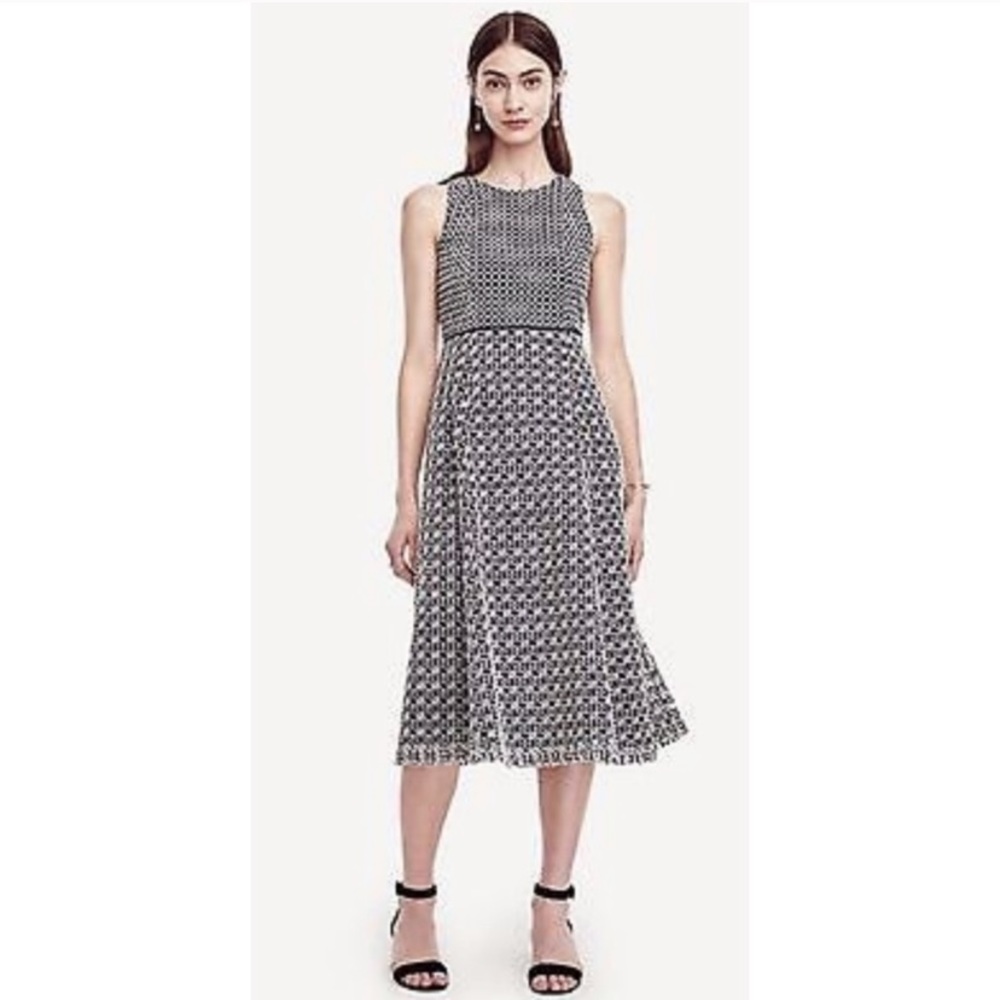 Ann Taylor Navy Blue Eyelet Dress